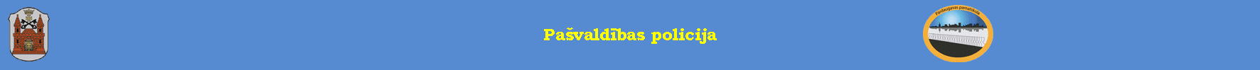 Pašvaldības policija