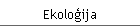 Ekoloģija